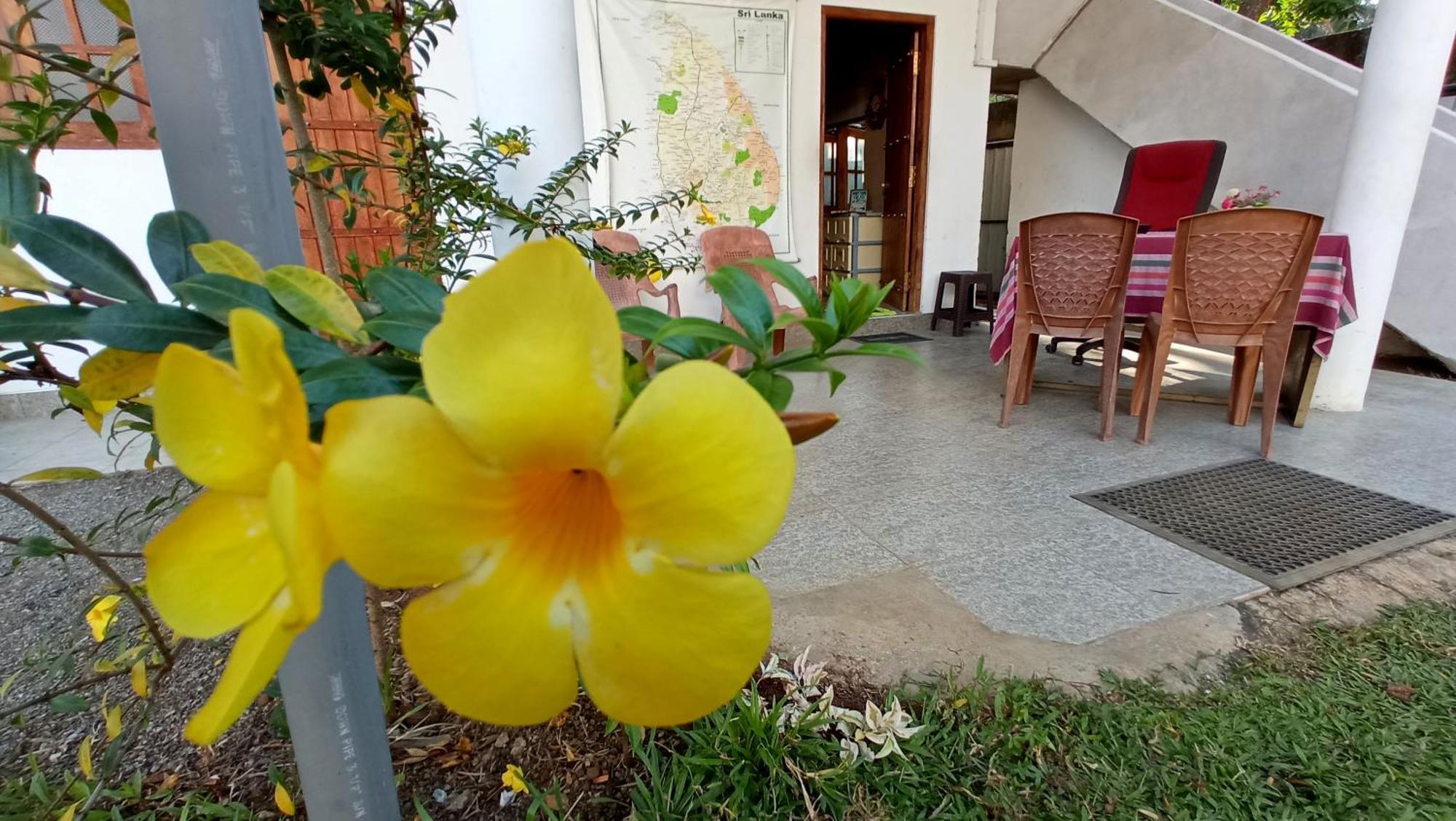 Family Resort Udawalawe Exterior photo